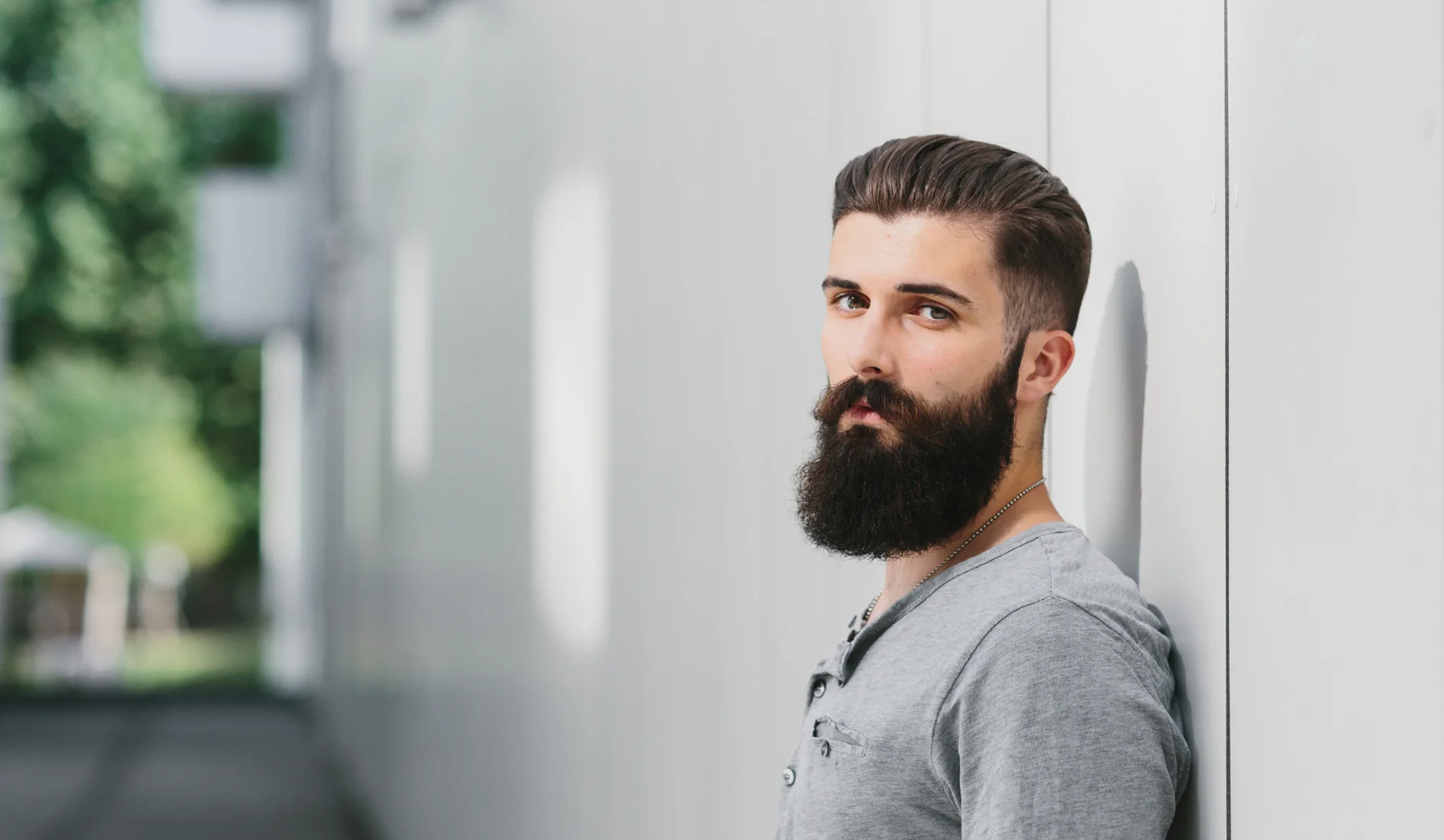 Beard maintenance